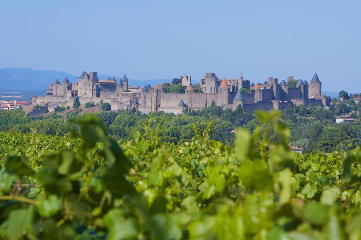 Tout Confort ! Calme, Climatisation, Vue Degagee, Ville ,Parking Gratuit, Ascenseur, Wifi Carcassonne Exteriör bild