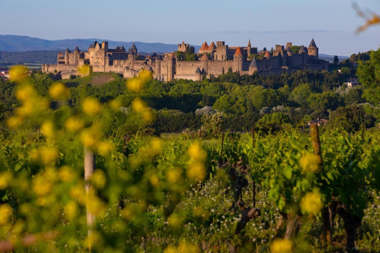Tout Confort ! Calme, Climatisation, Vue Degagee, Ville ,Parking Gratuit, Ascenseur, Wifi Carcassonne Exteriör bild