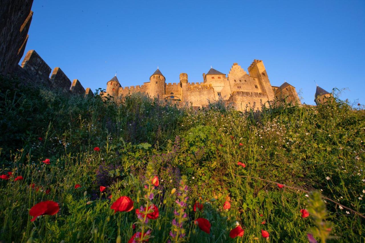 Tout Confort ! Calme, Climatisation, Vue Degagee, Ville ,Parking Gratuit, Ascenseur, Wifi Carcassonne Exteriör bild