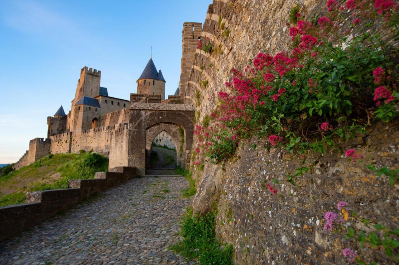 Tout Confort ! Calme, Climatisation, Vue Degagee, Ville ,Parking Gratuit, Ascenseur, Wifi Carcassonne Exteriör bild
